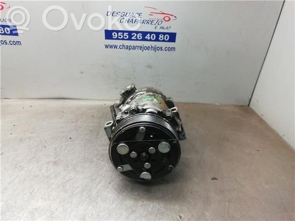 Klimakompressor Pumpe   5312602462,SD6V10