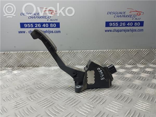 Kaasupoljin   781100D010
