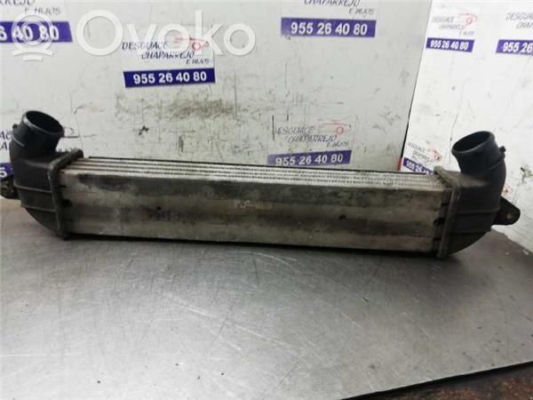 Fiat Doblo Radiator intercooler 