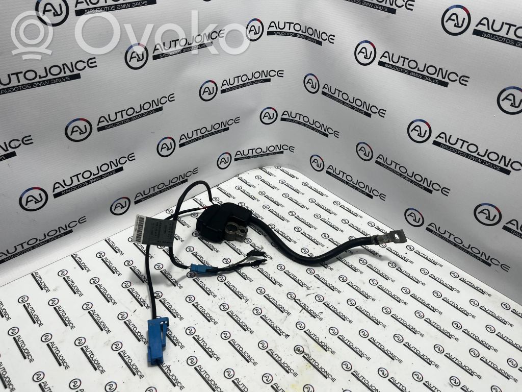 Mīnusa vads (akumulatora)   9184207,61129215952