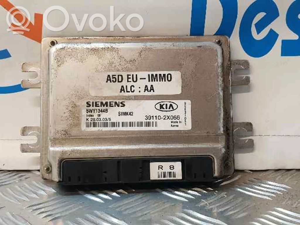 Engine control unit/module   5WY1344B,391102X066