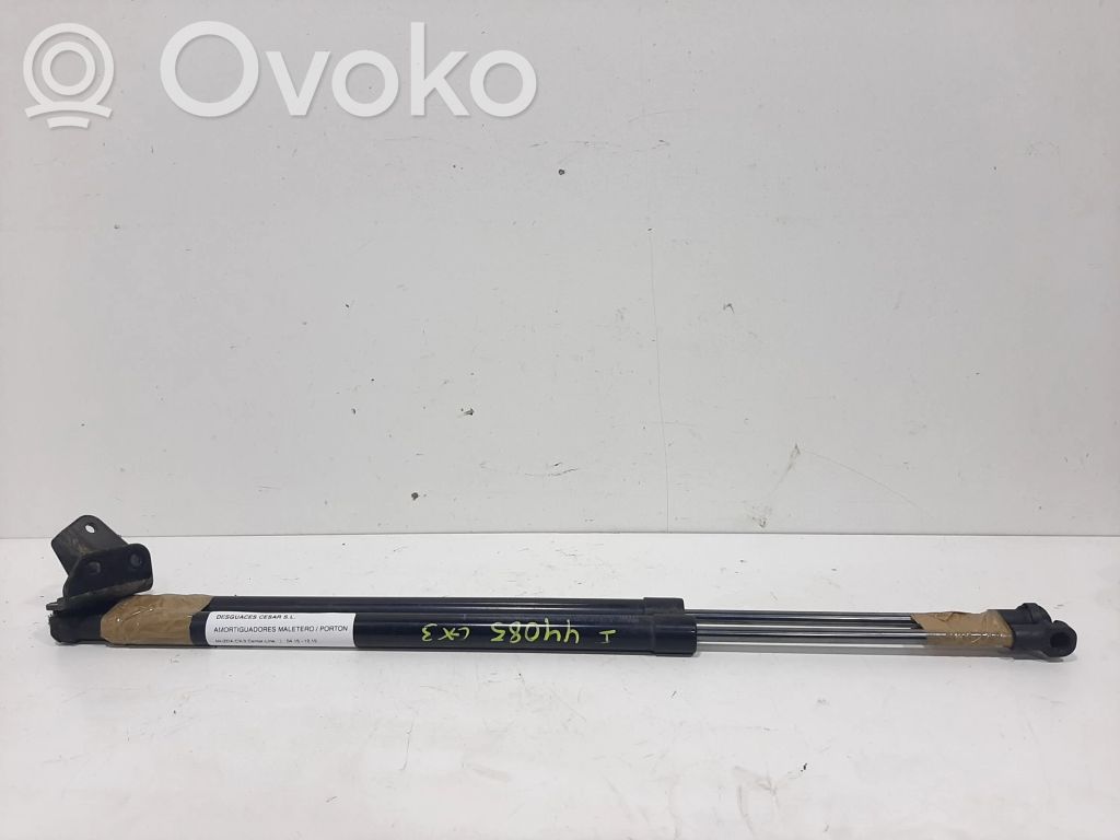 Tailgate/trunk strut/damper