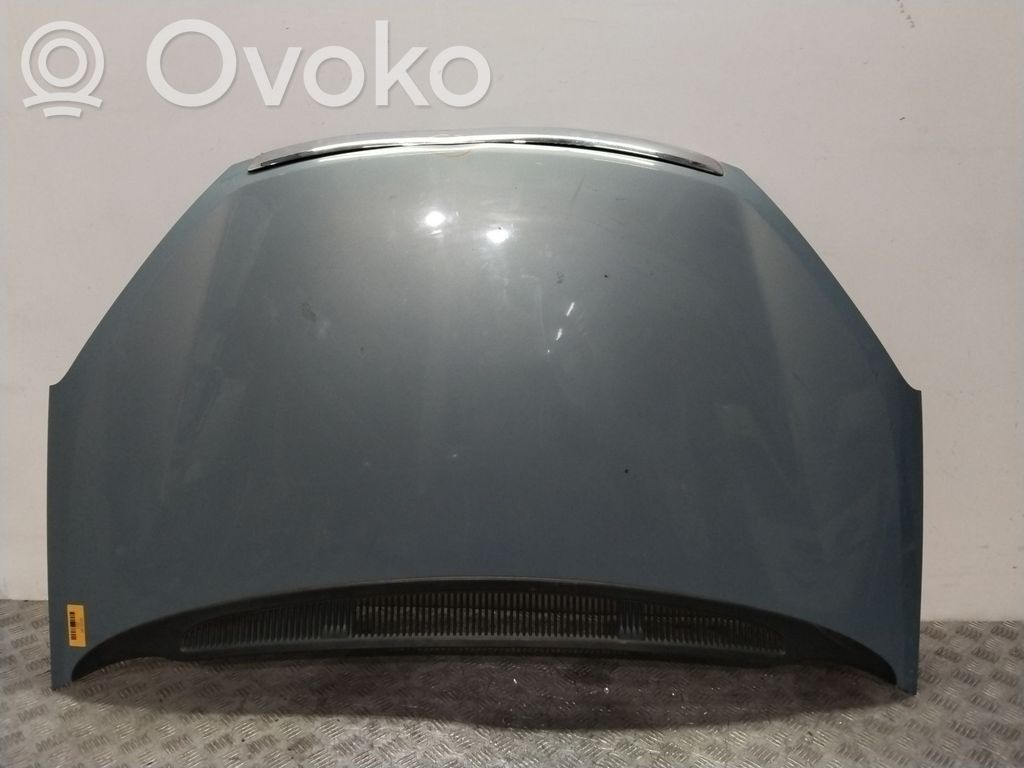 Capó/tapa del motor   1493967