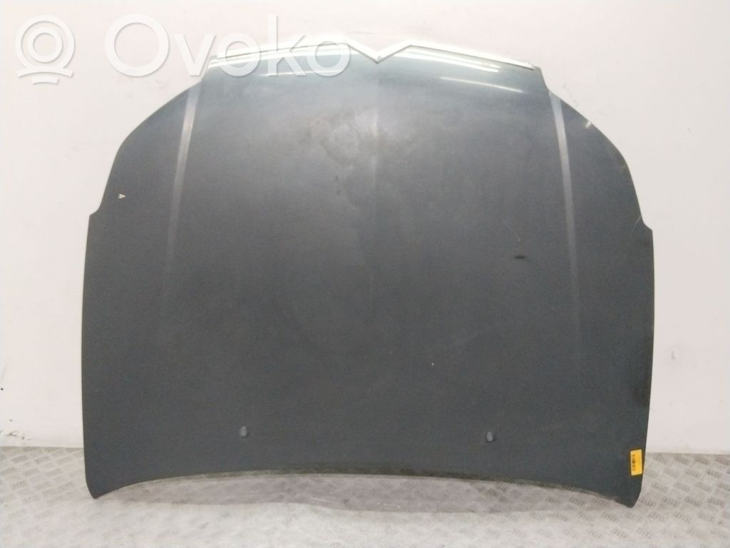 Konepelti   7901L4