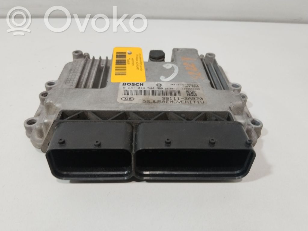 Centralina/modulo del motore   0281019544,391112A970