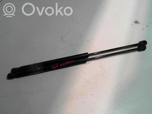 Ford Focus Tailgate/trunk strut/damper 