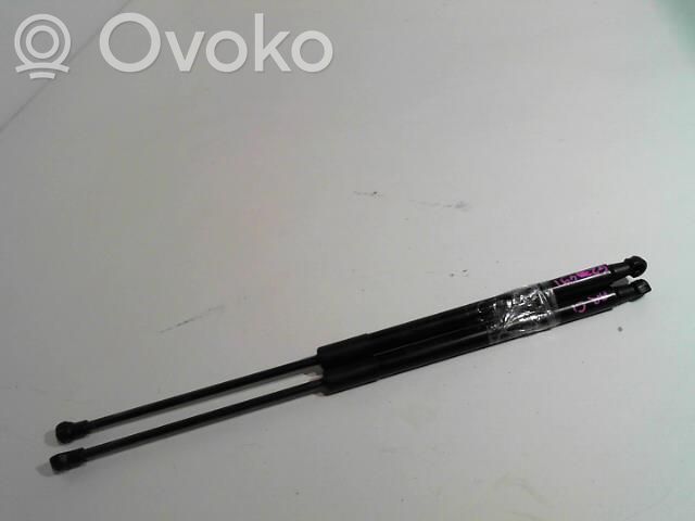 Citroen C1 Tailgate/trunk strut/damper 