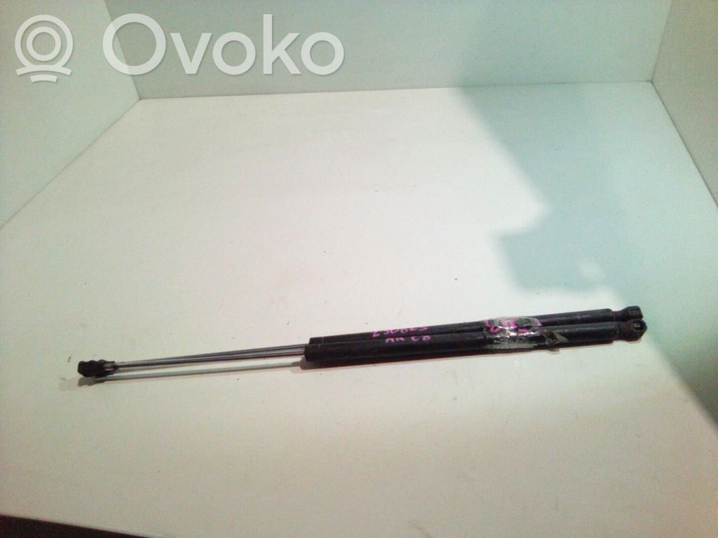 Citroen C8 Tailgate/trunk strut/damper 