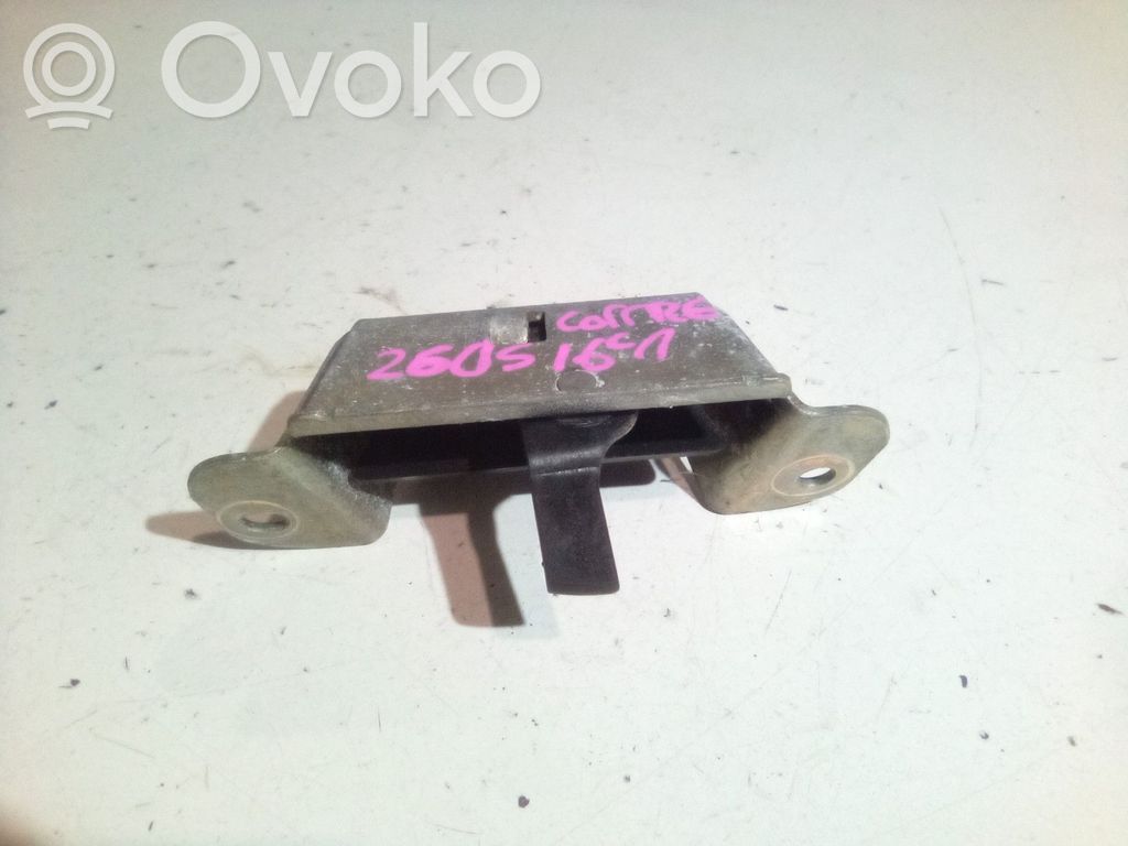 Tailgate/trunk/boot lock/catch/latch   871988