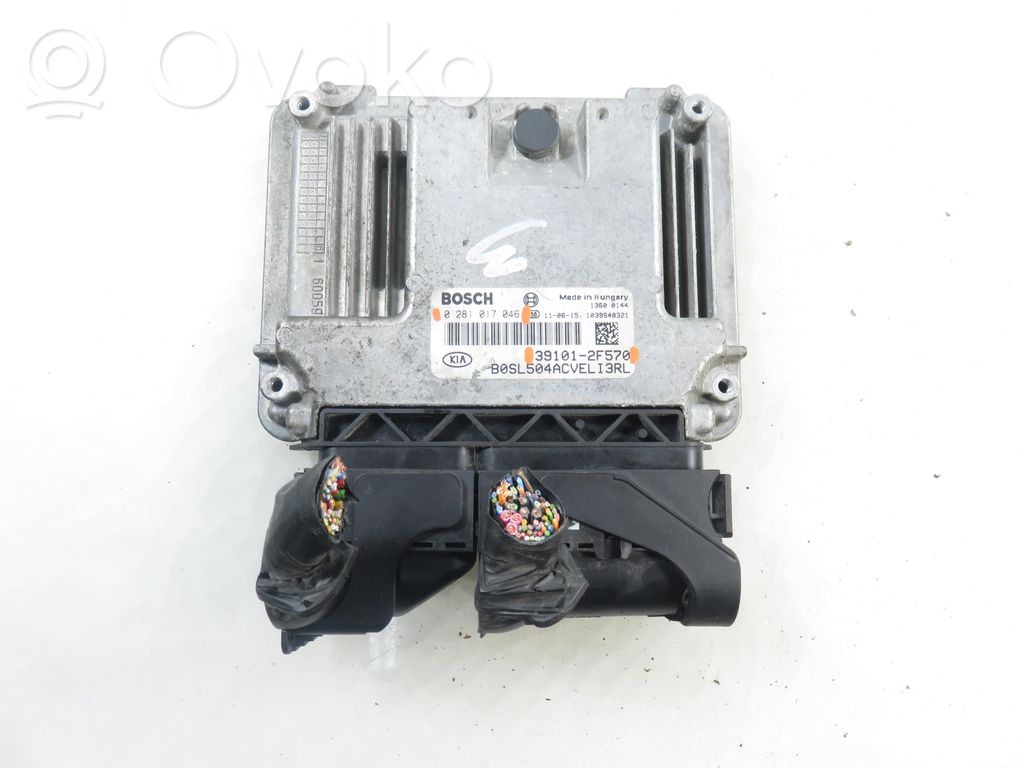 Engine control unit/module   391012F570,0281017046,0281017046,391012F570
