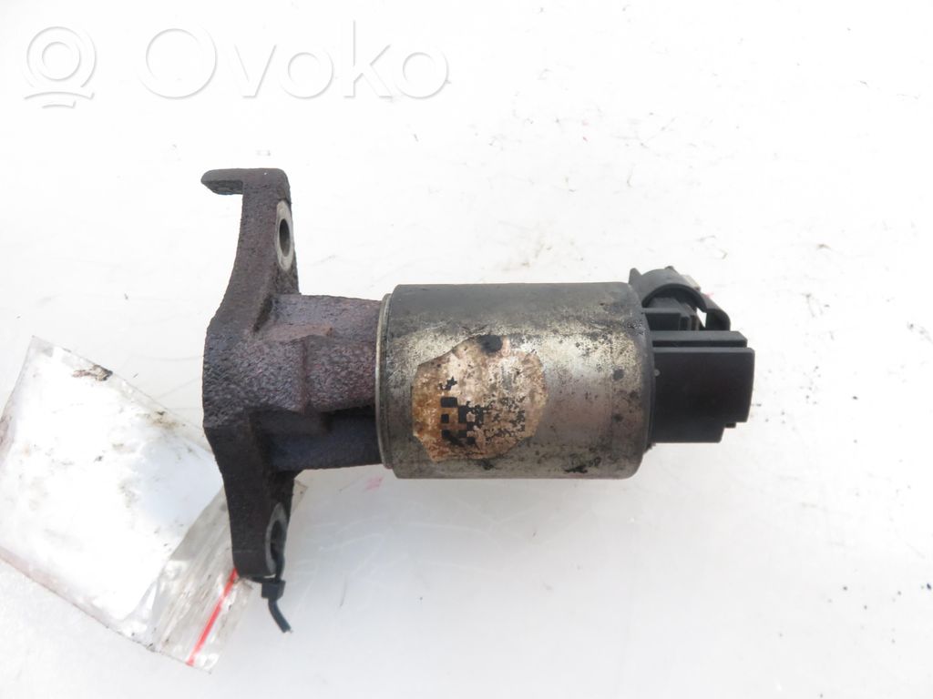 EGR vožtuvas   12569552,12569552