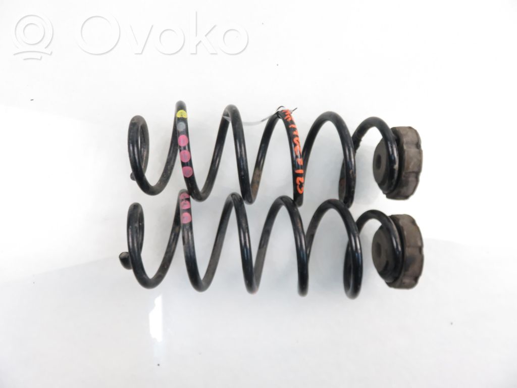 Rear coil spring