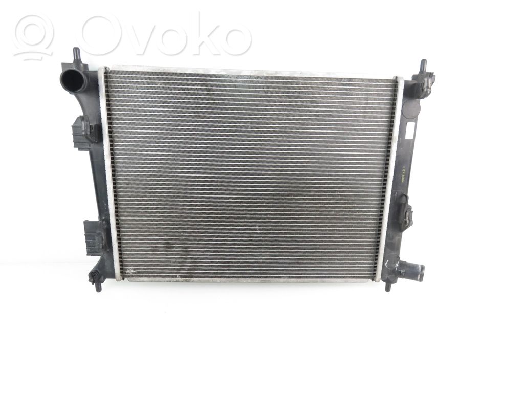 Coolant radiator   253101RXXX,253101RXXX