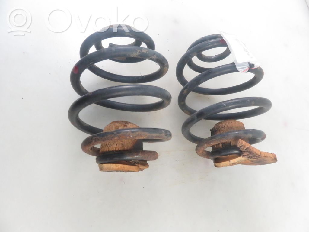 Rear coil spring