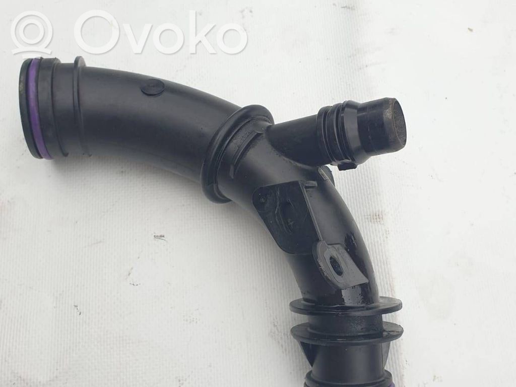 Engine coolant pipe/hose   Z12002107