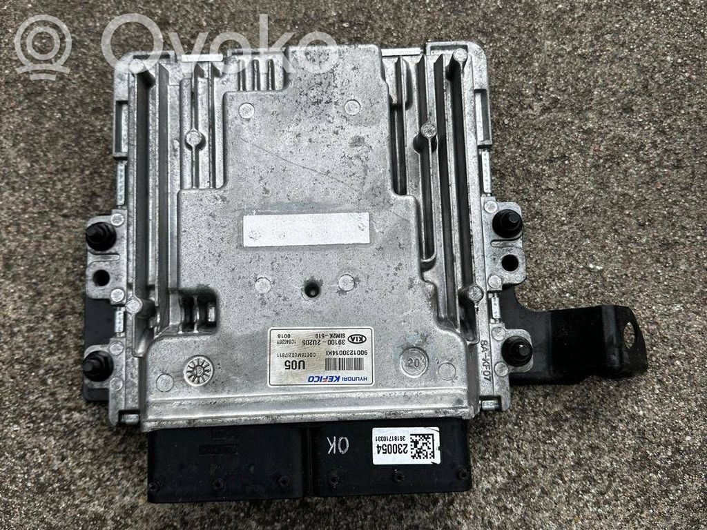 Galios (ECU) modulis   391002U205,1C84628Y