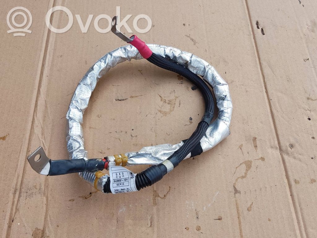 BMW 5 G30 G31 G38 Plus / Klema / Przewód akumulatora 