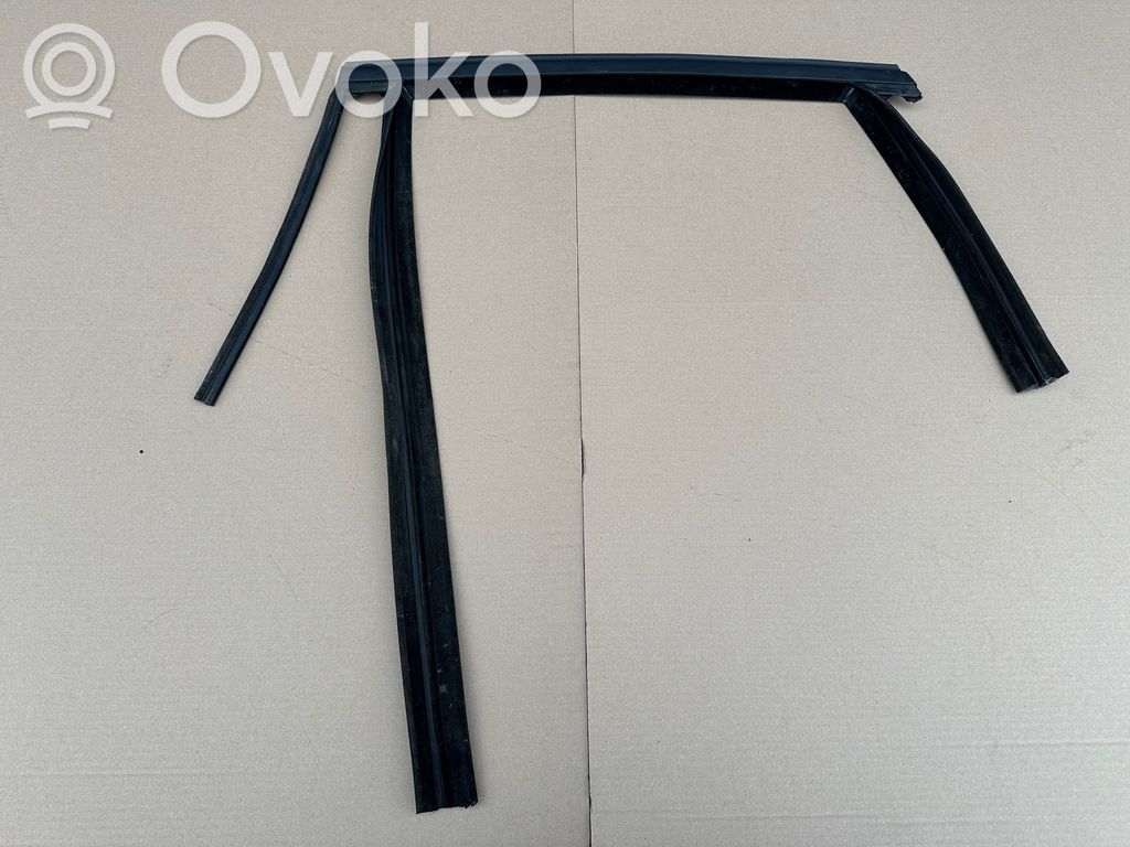 Ford Focus Rear door glass trim molding 