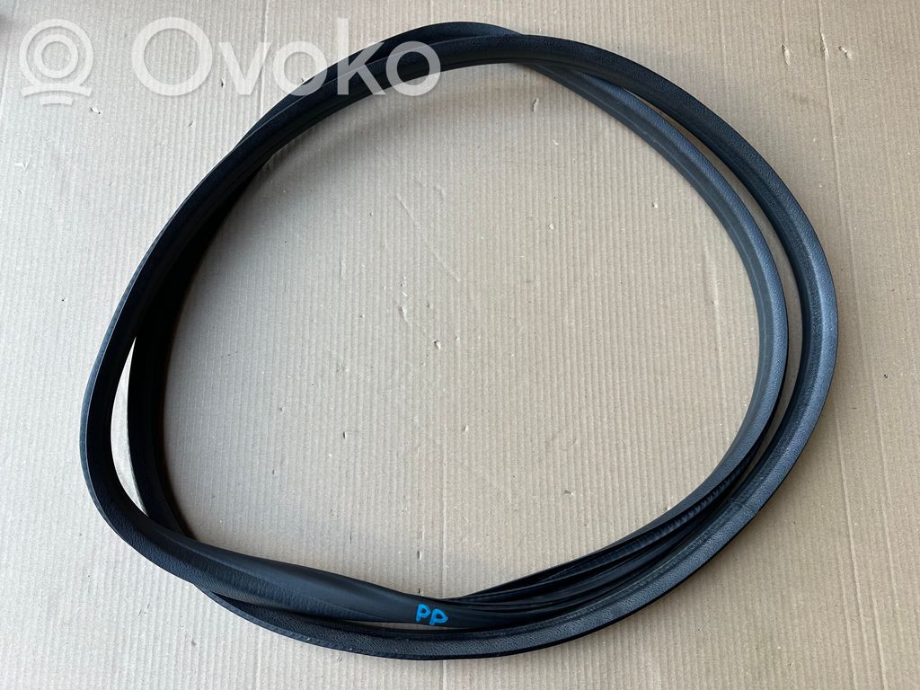 Renault Clio IV Front door rubber seal 