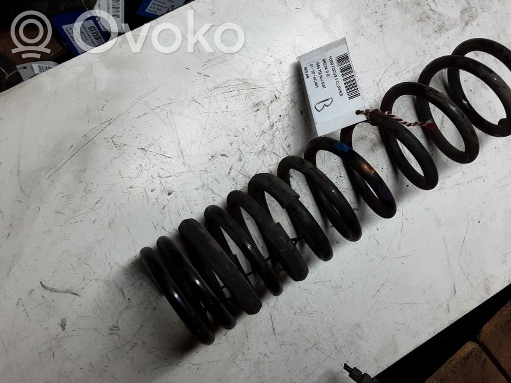 Rear coil spring