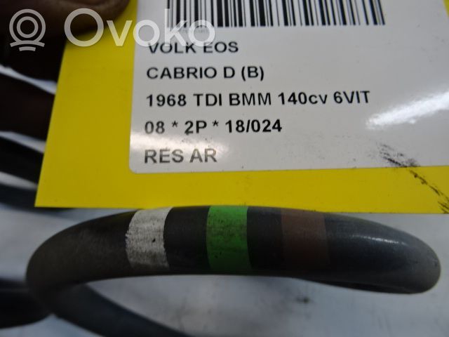 Rear coil spring
