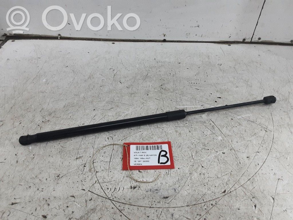 Volkswagen T-Roc Other under body part 