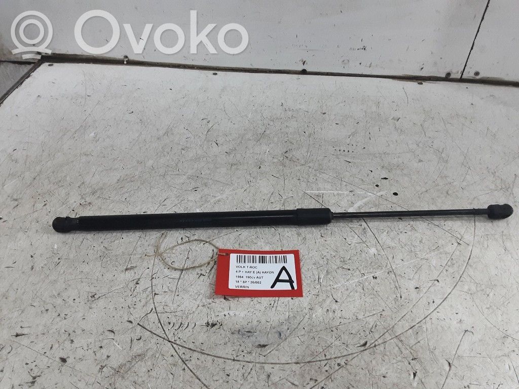 Volkswagen T-Roc Other under body part 