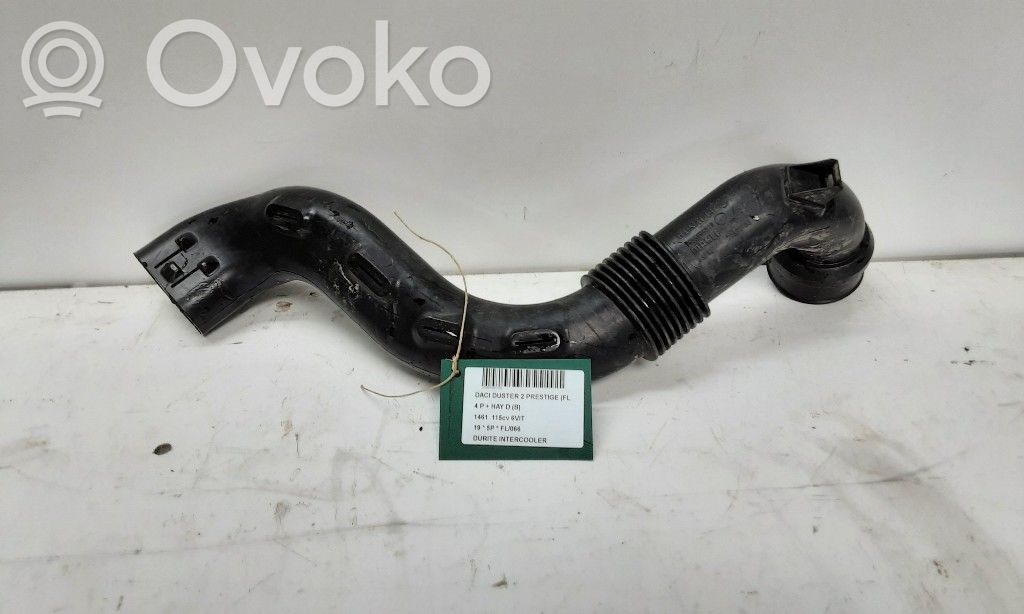 Intercooler hose/pipe   165556691R,165556691R