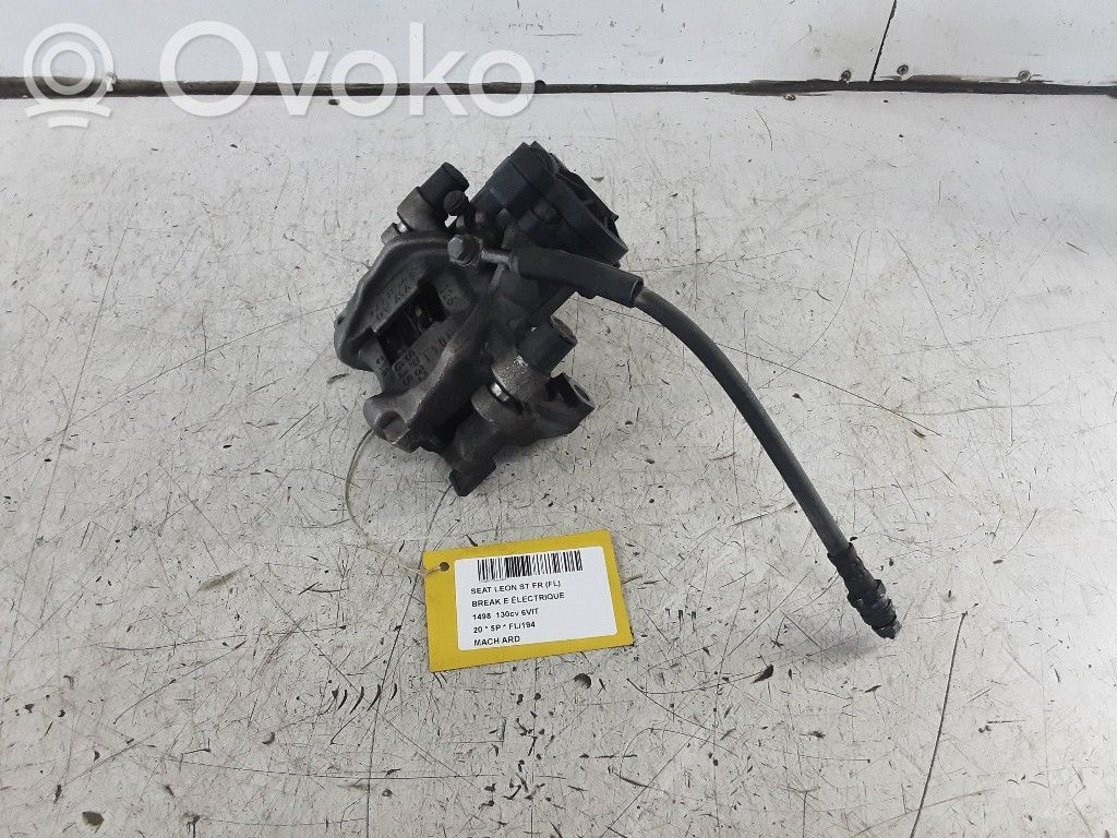 Takajarrusatula   5Q0615406,5Q0615406