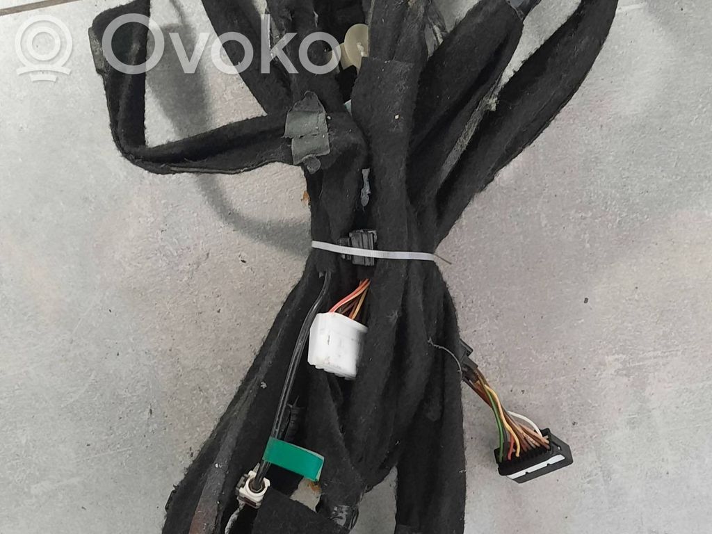 Wiring harness   5303EQ,100113,0113125,362430R