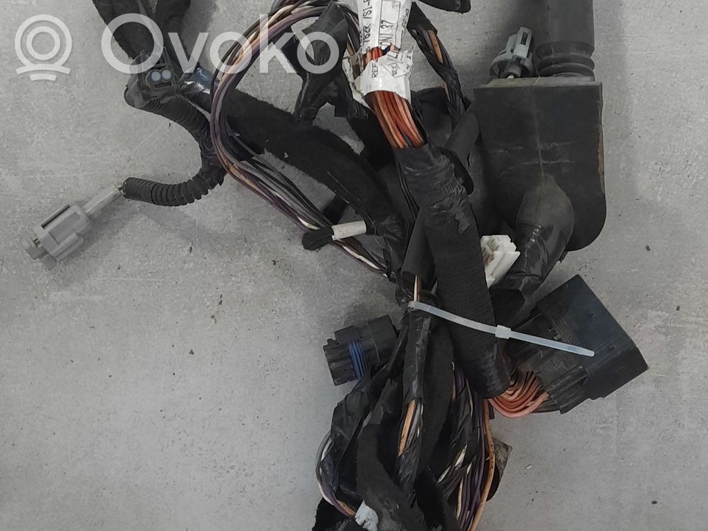 Cableado de puerta delantera   C36709780