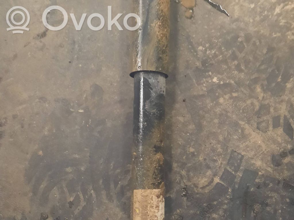 Rear shock absorber/damper