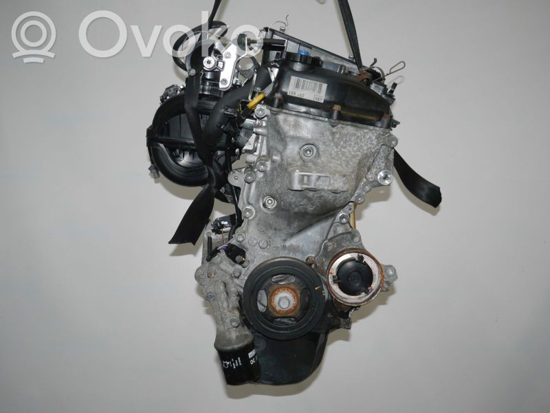 Motor