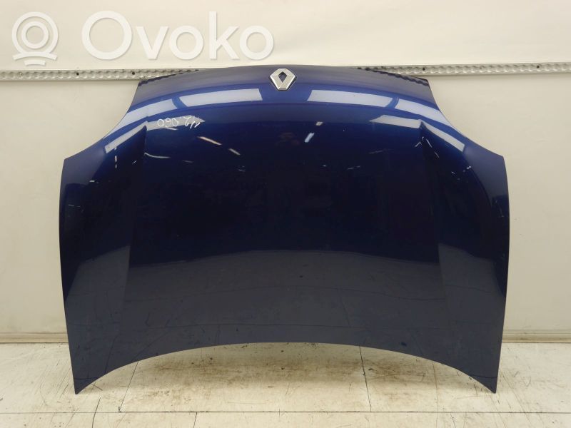 Motorhaube
