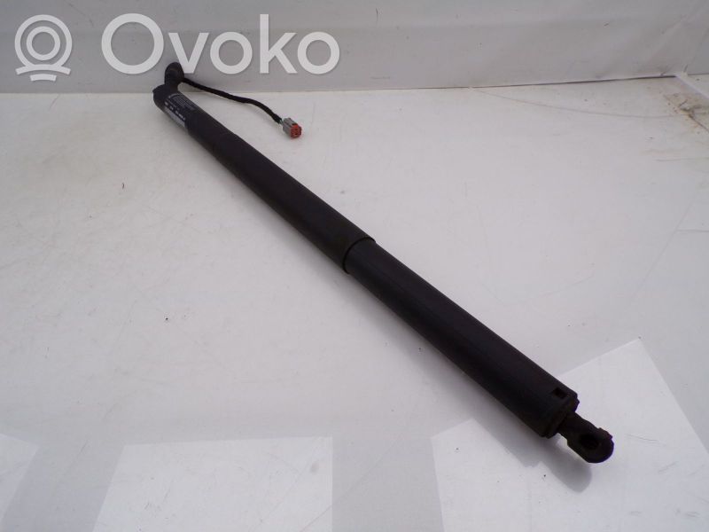 Tailgate/trunk strut/damper   DS73N402A55AC,DS73N402A55AC