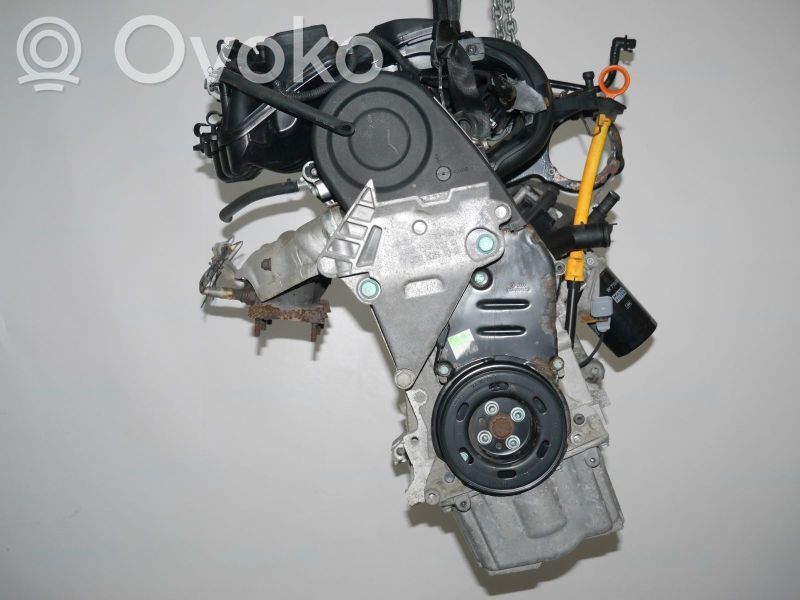 Variklis   06A100043P,06A100098LX,06A100043P,06A100098LX