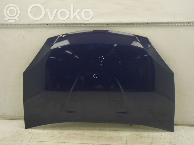 Motorhaube
