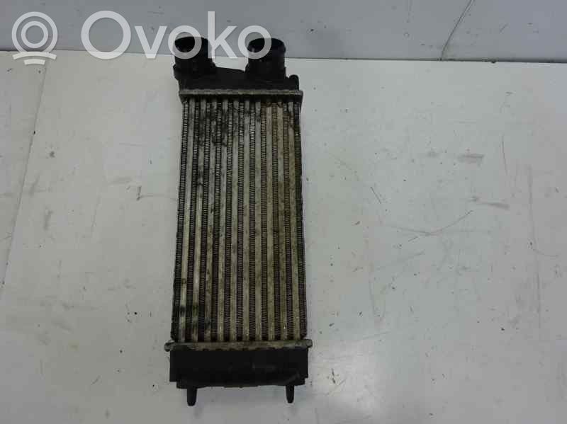 Peugeot 307 Radiatore intercooler 