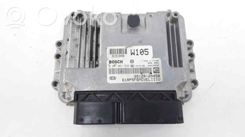 Engine control unit/module   391202A458,0281031538