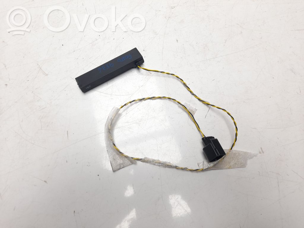 Ford Ecosport Antenna autoradio