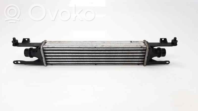 Interkūlerio radiatorius   872051000,30778