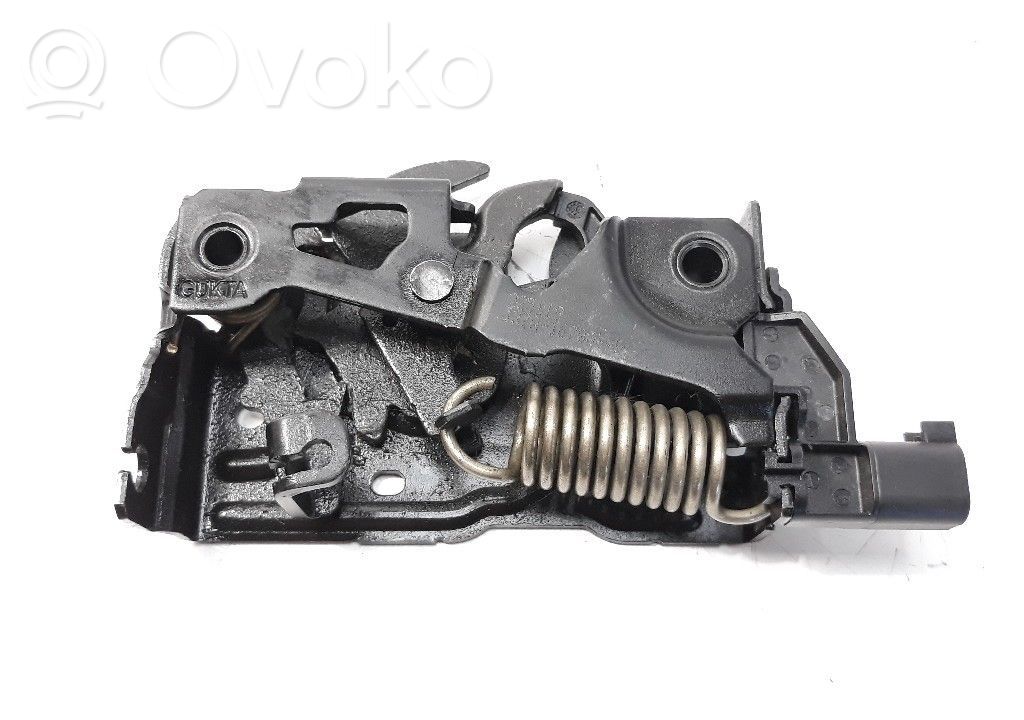 Ford Focus Tie down hook / loop 