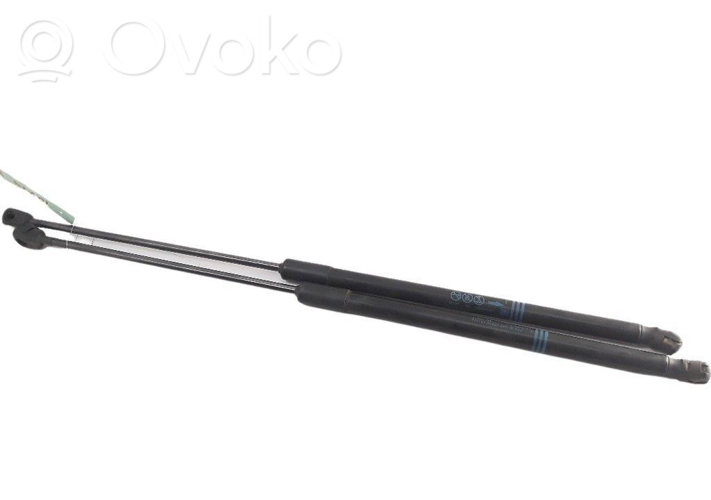 Tailgate/trunk strut/damper   39089134,61CM260NM