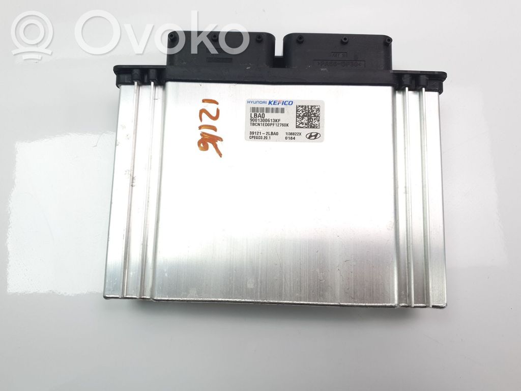 Engine control unit/module   391212LBA0