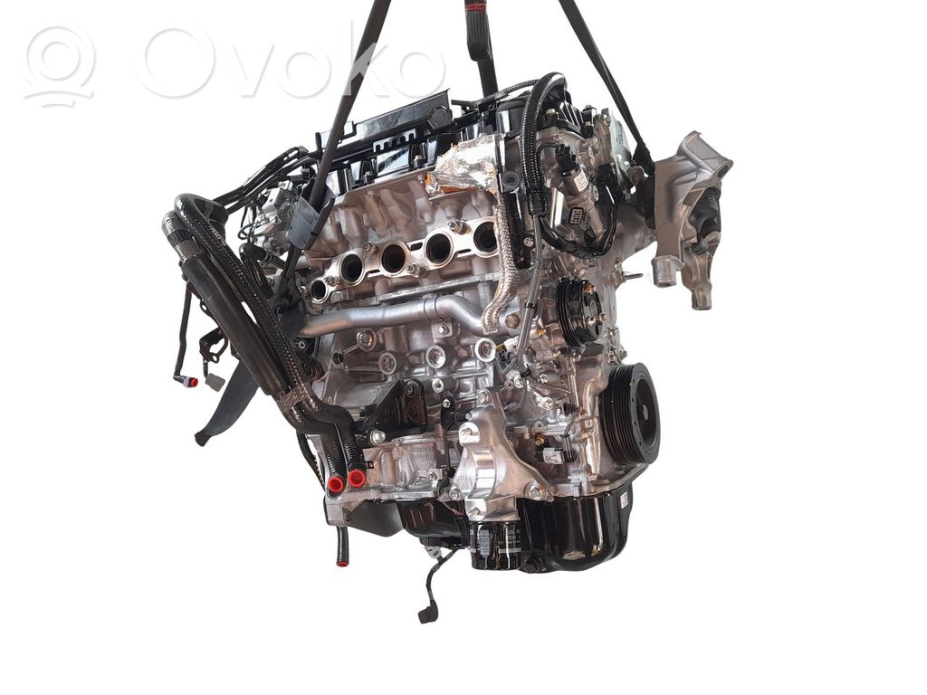 Variklis   165CV