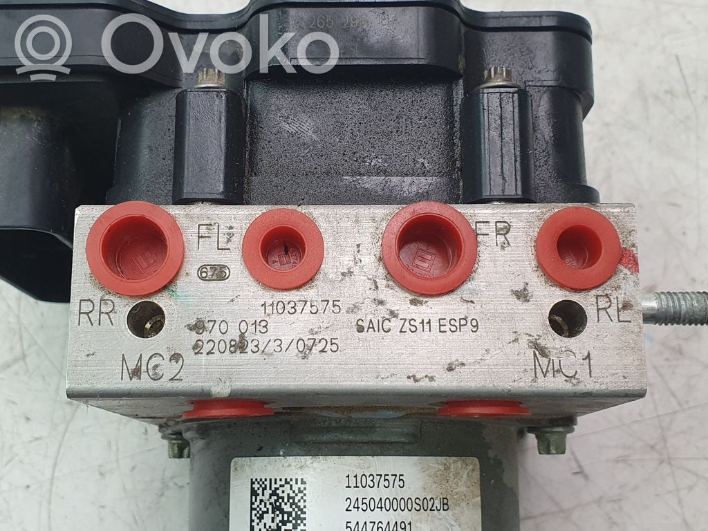ABS Pump   11037575