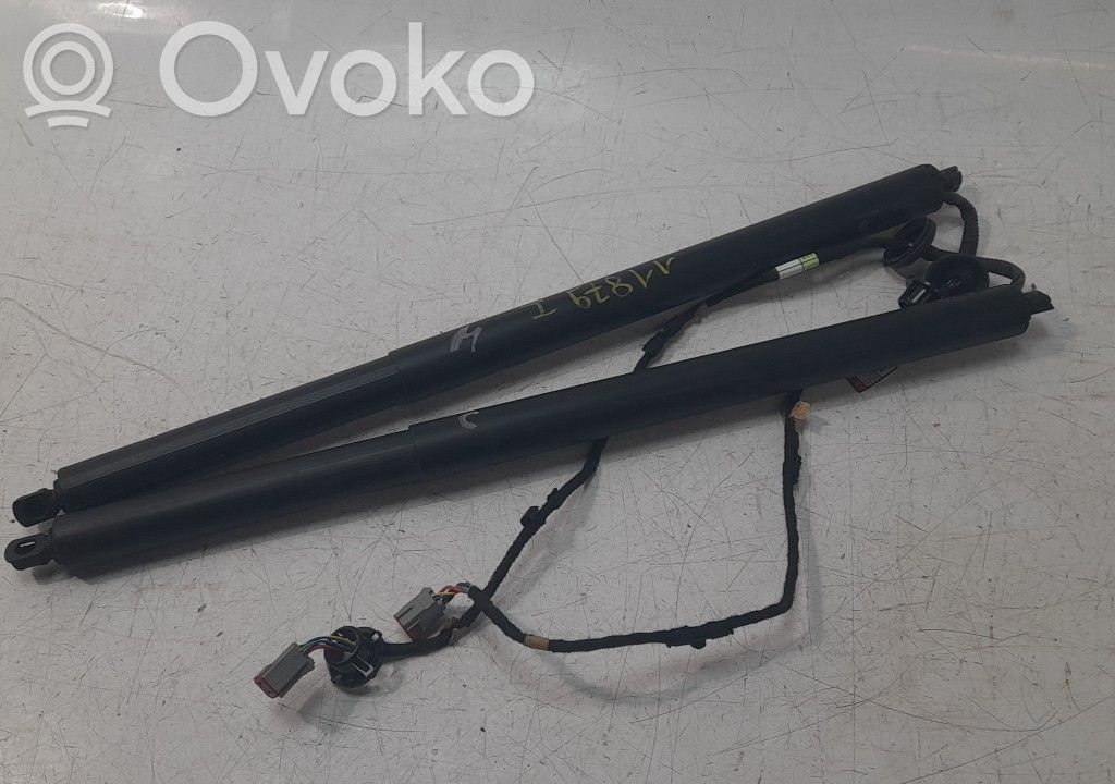 Ford Kuga III Ammortizzatore portellone posteriore/bagagliaio