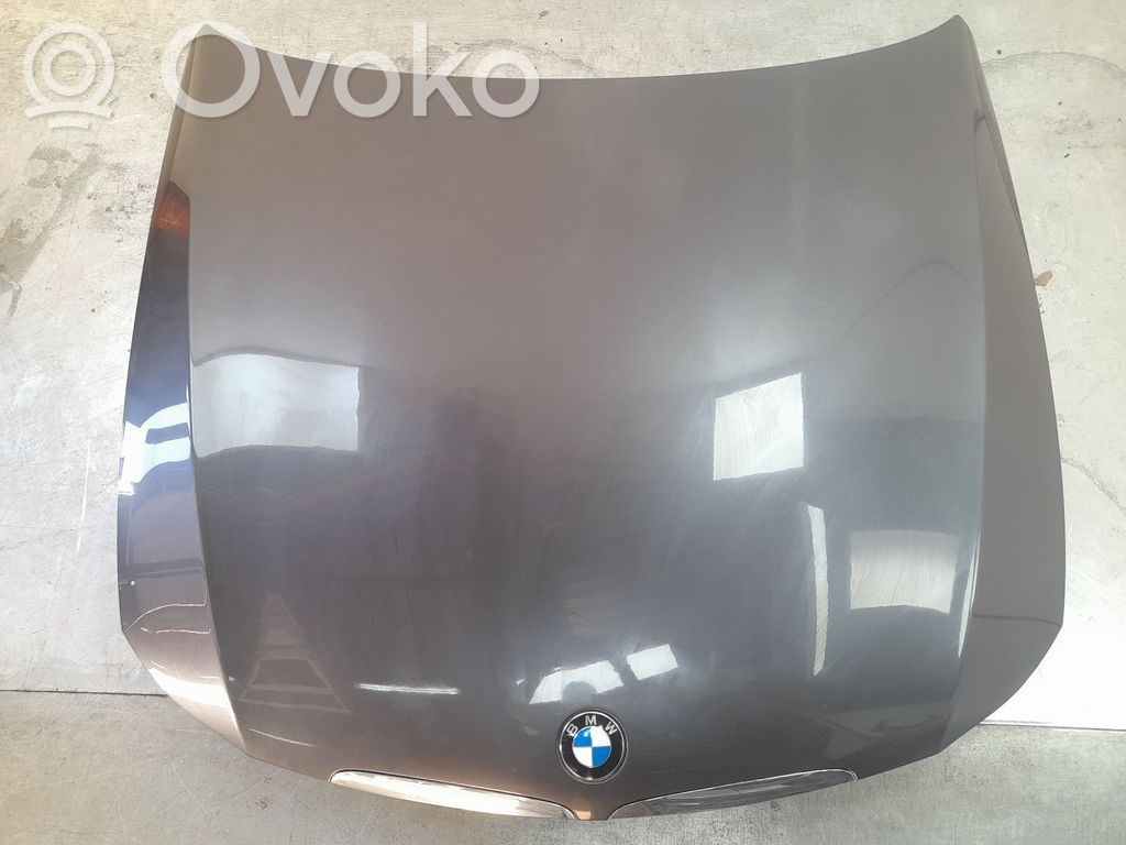 Capó/tapa del motor   41617140729