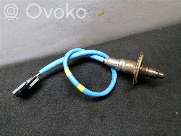 Зонд «Lambda»   226937054R,HNLGT6944R