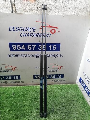 Amortiguador del maletero/compartimento de carga